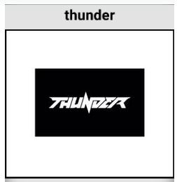 خرید برند thunder لوازم یدکی