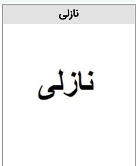 خرید برند نازلی روغن
