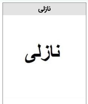 خرید برند نازلی روغن خوراکی